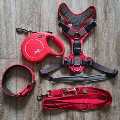 Hundezubehör in M/L-Beitrag-Bild