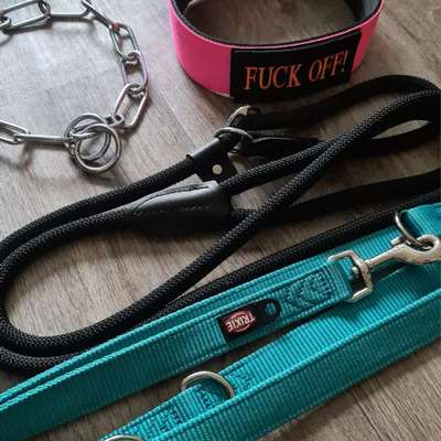Hundezubehör in M/L-Beitrag-Bild