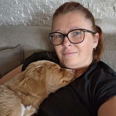 Hundetreffen-Gibt es in der Nähe von Selb Toller - "Eltern"??? Zum Erfahrungsaustausch, Treffen, Gassi gehn, etc.