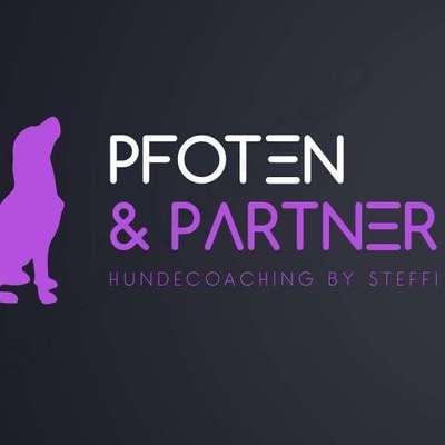 Hundeschulen-Pfoten & Partner-Bild