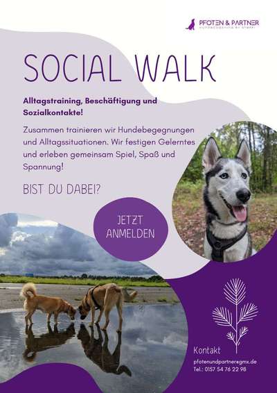 Giftköder-Social Walk-Bild