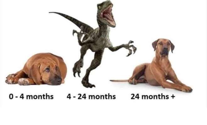 Alles am zerstören-Beitrag-Bild