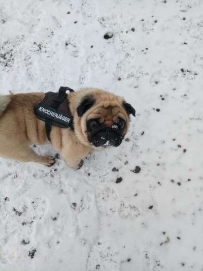 Verspielt-Beitrag-Bild