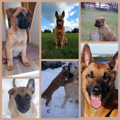 Sie werden so schnell erwachsen ...-Beitrag-Bild