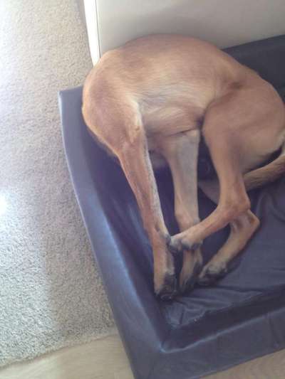 LUSTIGE FOTOS! WER KANN MITHALTEN?-Beitrag-Bild