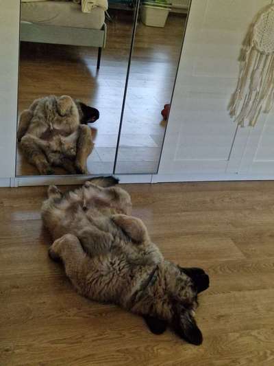 4. Lustiger Schlafplatz-Beitrag-Bild