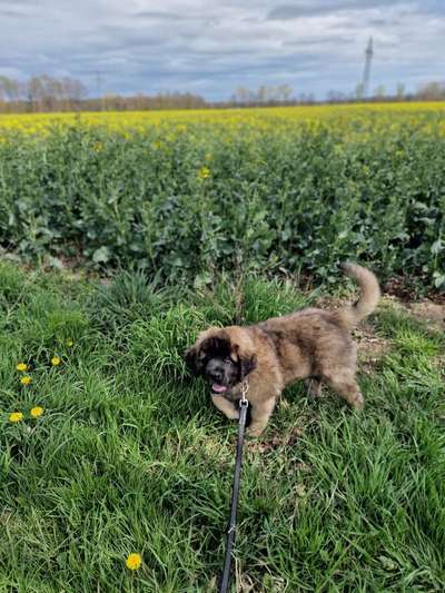 Fotowettbewerb Natur-Beitrag-Bild