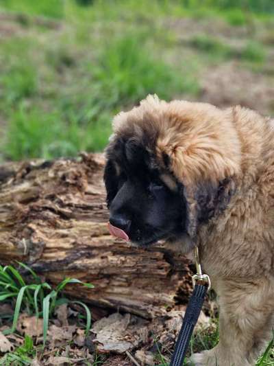 Foto Challenge Nr. 79-Beitrag-Bild