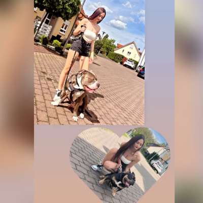 Hundetreffen-Spaziergang-Profilbild