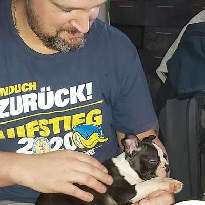 Hundetreffen-Welpen treffen-Profilbild