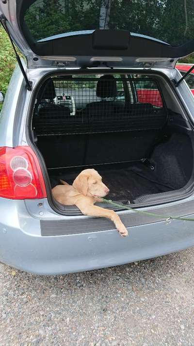 CHALLENGE NR. 18 - ON TOUR-Beitrag-Bild