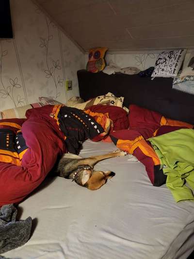 Relaxen im bett-Beitrag-Bild