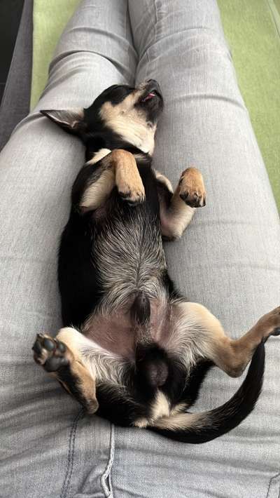 Fotochallenge Nr.65-Beitrag-Bild