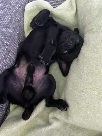 Fotochallenge Nr.65-Beitrag-Bild