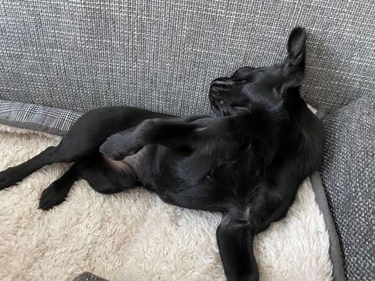 Die unbequemsten und lustigsten Schlafpositionen-Beitrag-Bild