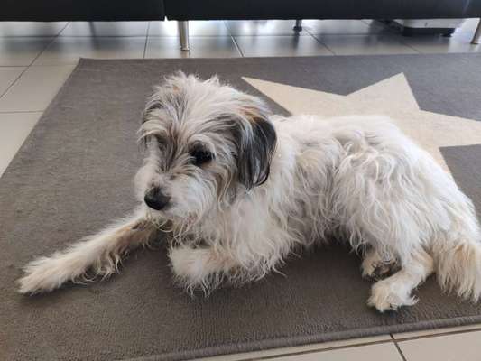 Gibts hier Mioritic Besitzer?-Beitrag-Bild