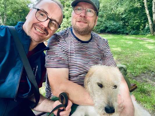 Wie kamst du zu deinem Hund?-Beitrag-Bild