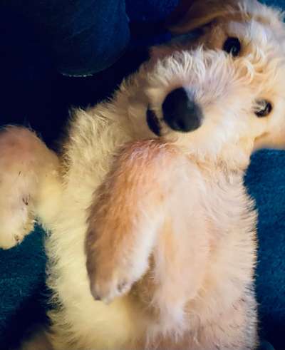 Her mit dem Grimassen-Beitrag-Bild