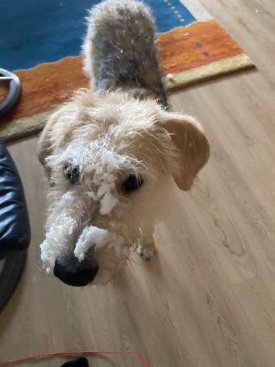 Zeigt mir die tollste Nahaufnahme von eurer Fellnase-Beitrag-Bild