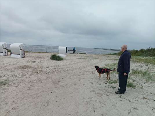 Urlaub am Meer-Beitrag-Bild