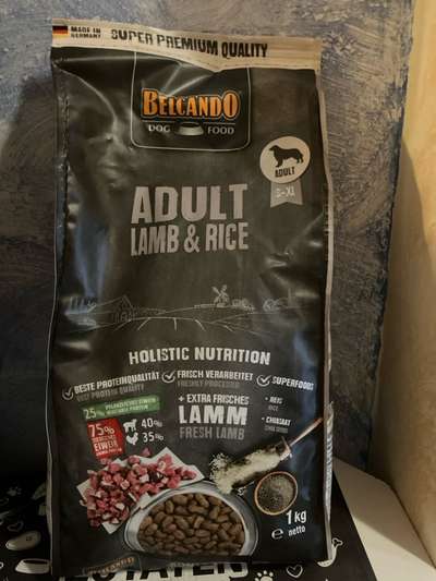 Tierschutzhund frisst wenig bis gar nicht-Beitrag-Bild