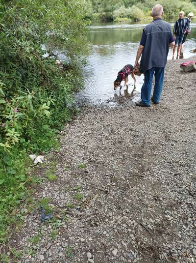 Was hat euch heute gefreut?-Beitrag-Bild