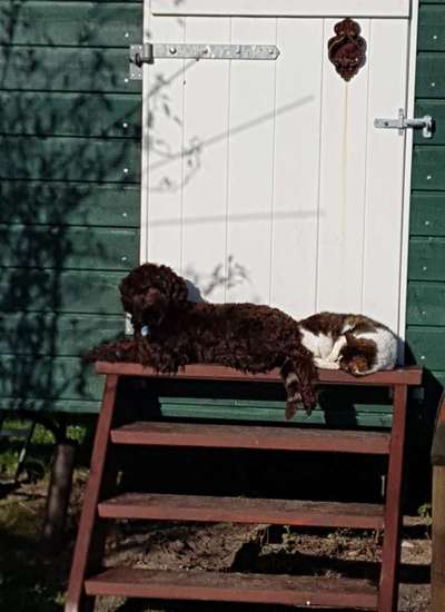 CHALLENGE Nr.17-Beitrag-Bild