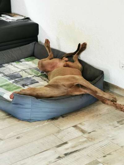 CHALLENGE NR. 34 - Liege-/Schlafpositionen-Beitrag-Bild