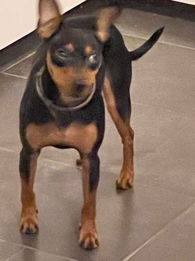 Fotochallange 84-Beitrag-Bild