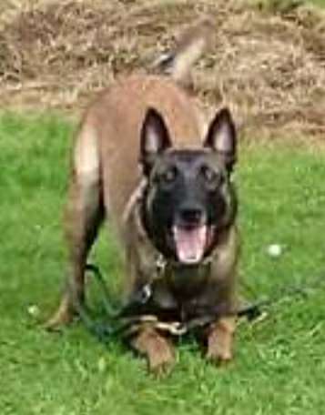 Lieblings Fotos-Beitrag-Bild