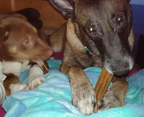 Erstes Bild-Beitrag-Bild