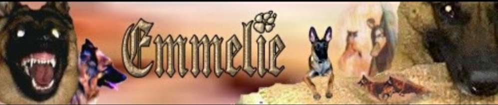 Photomontagen mit Hund-Beitrag-Bild