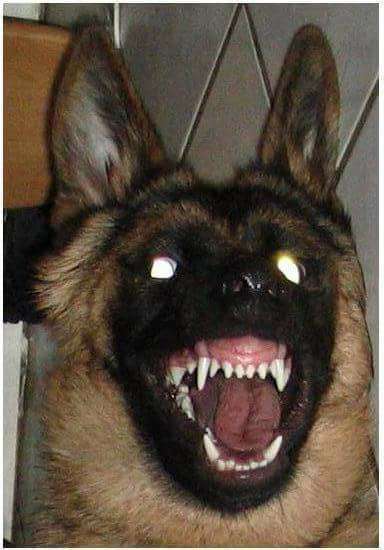 Her mit dem Grimassen-Beitrag-Bild