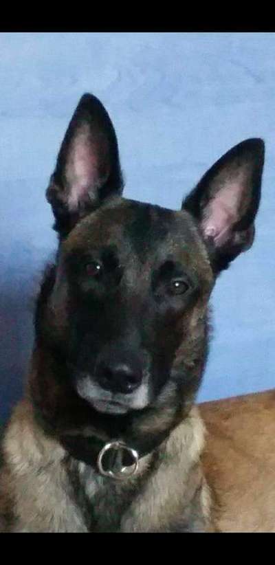 Dreckige Wand Kratzstelle-Beitrag-Bild