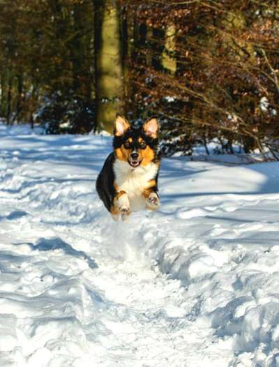 Foto-Challenge Nr. 90: Lebensfreude-Beitrag-Bild