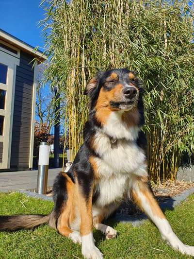 FOTO-Challenge  NR. 91: Die pure Entspannung-Beitrag-Bild