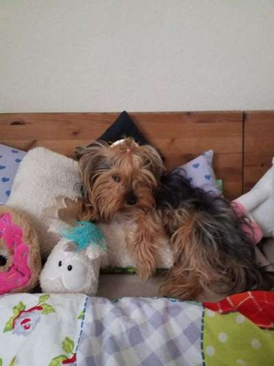 Im Bett schlafen-Beitrag-Bild