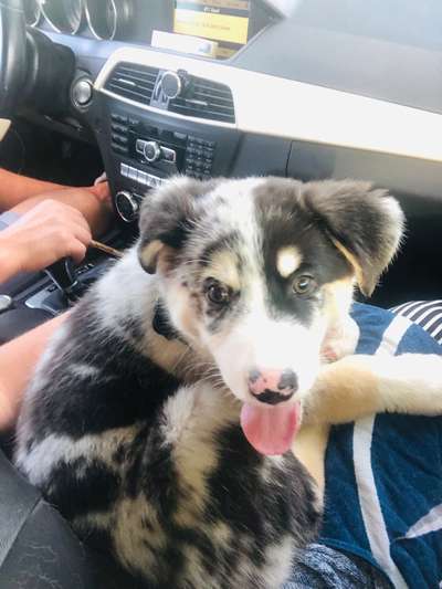 Das erste Foto-Beitrag-Bild