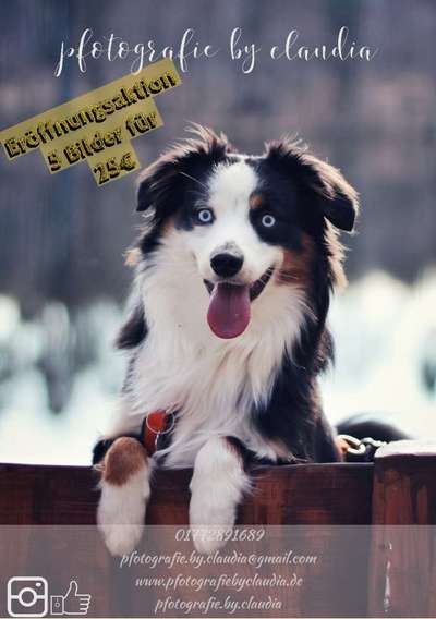 Tierfotografen-pfotografie by claudia-Bild