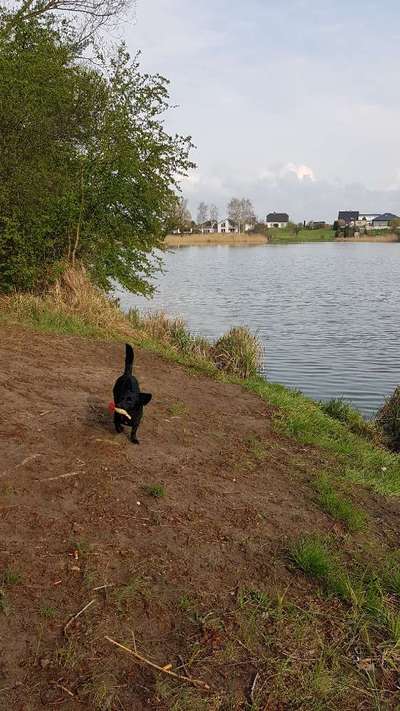 Dogorama-Monats-Challenge-Mai "Wasser"-Beitrag-Bild