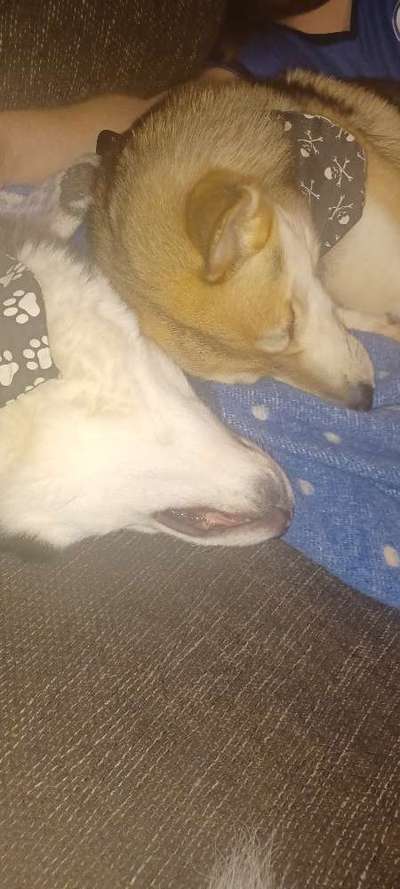 Lieblings Fotos-Beitrag-Bild