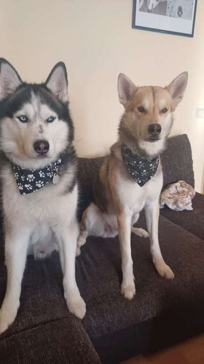 Lieblings Fotos-Beitrag-Bild