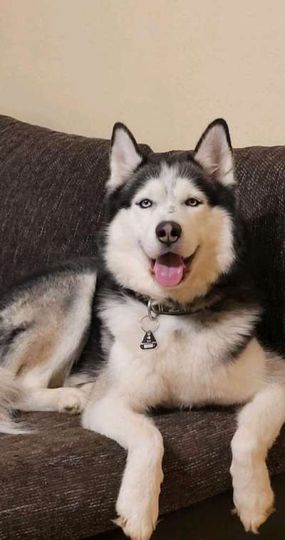 Lieblings Fotos-Beitrag-Bild