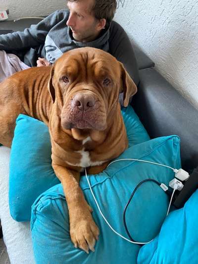 Zeigt her eure Kolosse!-Beitrag-Bild