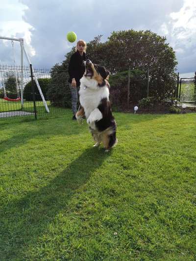 Die Dogorama Monats Challenge "Es grünt und blüht"-Beitrag-Bild