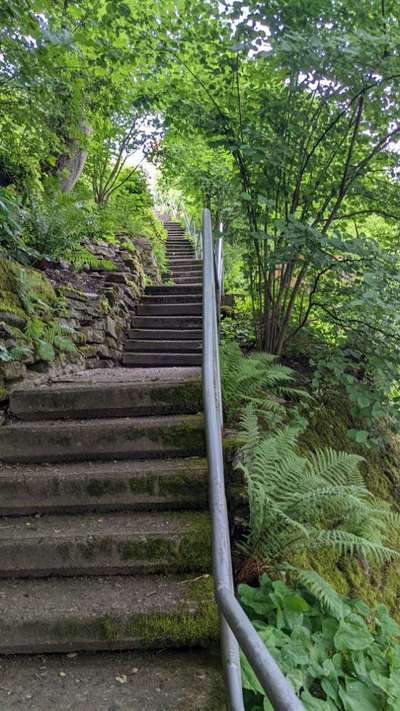 Hundetreffen-Waldshooting Degmarn-Bild