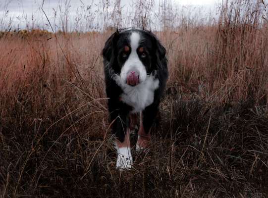 Zeigt eure Portraits-Beitrag-Bild