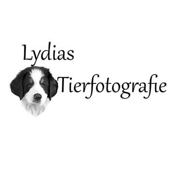 Tierfotografen-Lydias Tierfotografie-Bild