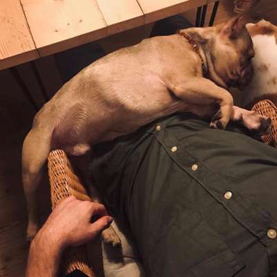 Challenge Nr 14
Eure Fellnasen auf ihrem Lieblingsplatz-Beitrag-Bild