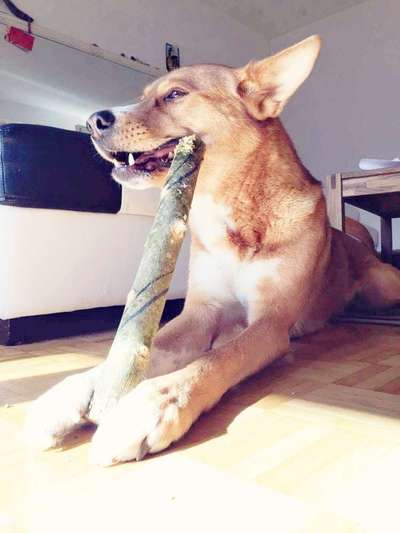 17. Farben Foto Challenge: Pastellfarben-Beitrag-Bild